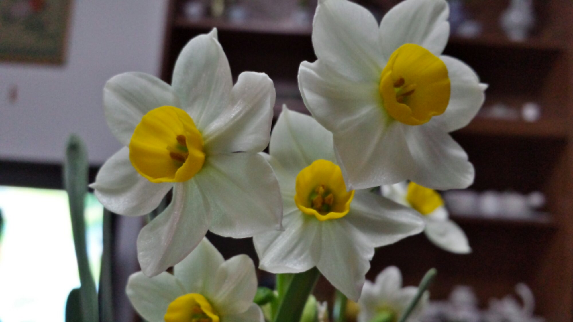 20140204_195308_Richtone(HDR).jpg image